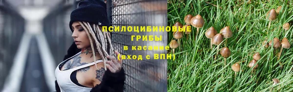 прущая мука Остров