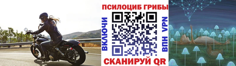 Галлюциногенные грибы прущие грибы  Мурино 