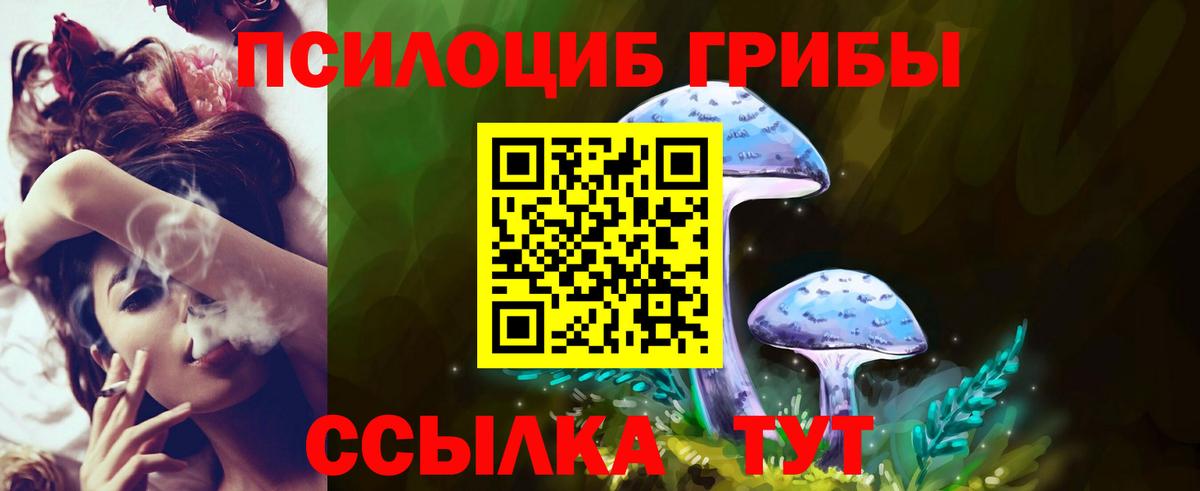Псилоцибиновые грибы Magic Shrooms Мурино